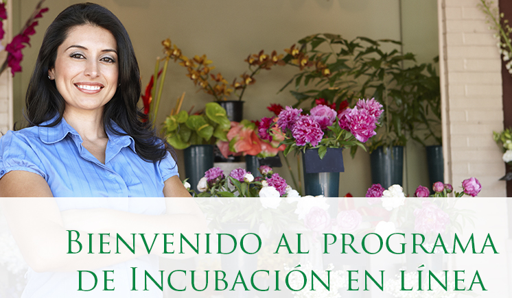 Incubación en Línea CIAG- INADEM